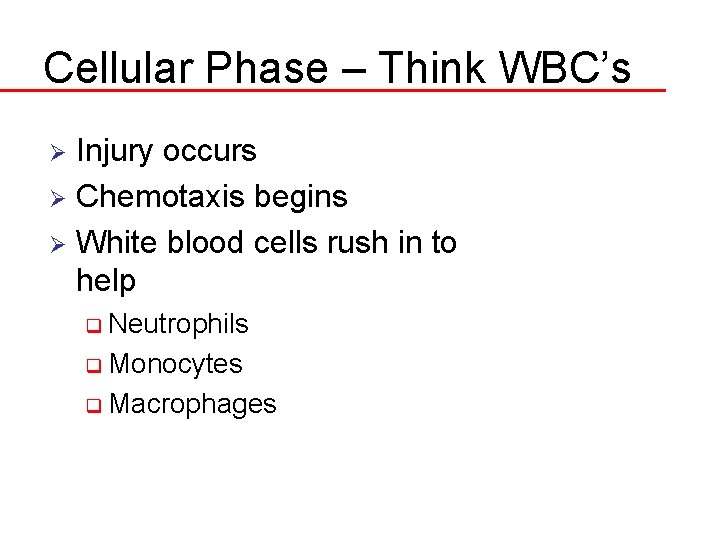 Cellular Phase – Think WBC’s Injury occurs Ø Chemotaxis begins Ø White blood cells