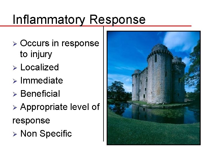 Inflammatory Response Occurs in response to injury Ø Localized Ø Immediate Ø Beneficial Ø