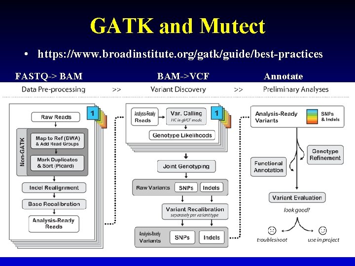 GATK and Mutect • https: //www. broadinstitute. org/gatk/guide/best-practices FASTQ-> BAM->VCF Annotate 19 