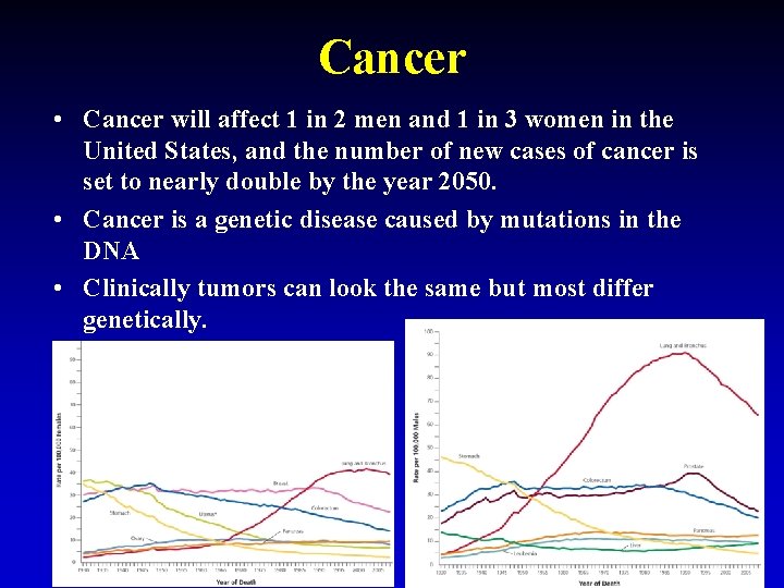 Cancer • Cancer will affect 1 in 2 men and 1 in 3 women