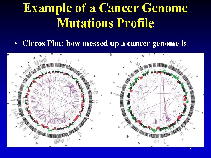 Example of a Cancer Genome Mutations Profile • Circos Plot: how messed up a