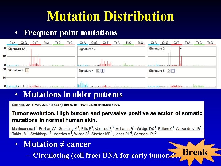Mutation Distribution • Frequent point mutations • Mutations in older patients • Mutation ≠