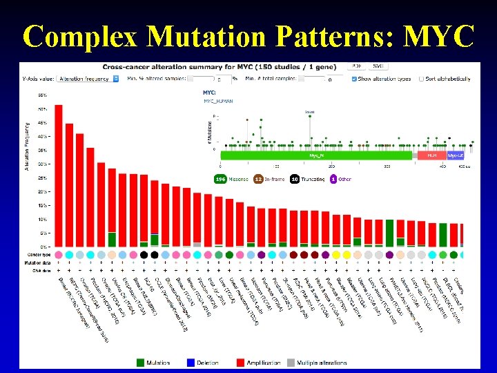 Complex Mutation Patterns: MYC 26 