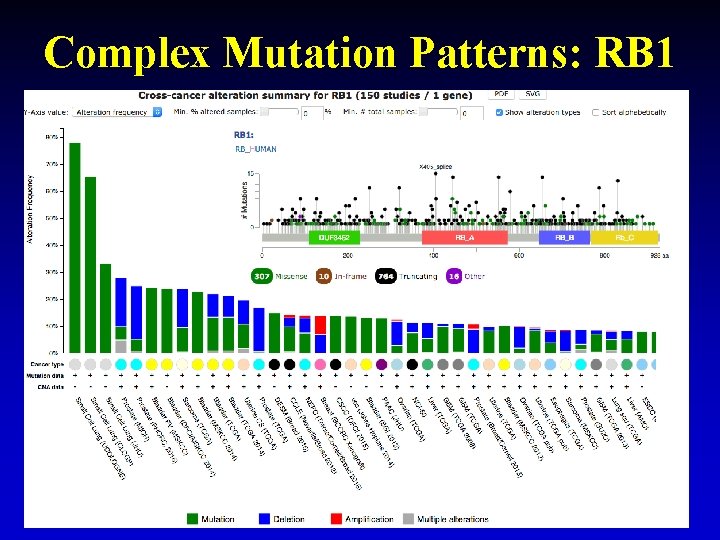 Complex Mutation Patterns: RB 1 28 