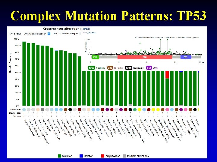 Complex Mutation Patterns: TP 53 29 