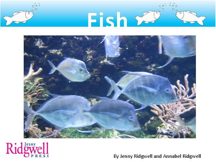 Fish By Jenny Ridgwell and Annabel Ridgwell 