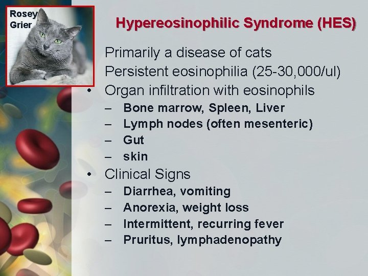 Feline Hypereosinophilic Syndrome preview