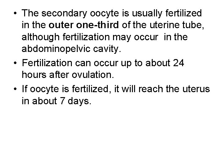  • The secondary oocyte is usually fertilized in the outer one-third of the