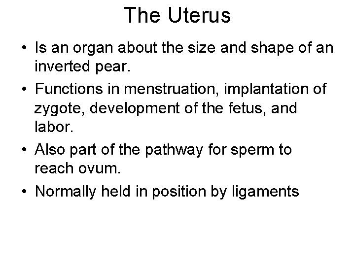 The Uterus • Is an organ about the size and shape of an inverted