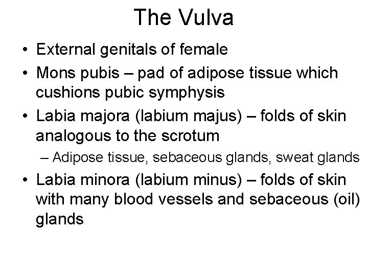 The Vulva • External genitals of female • Mons pubis – pad of adipose