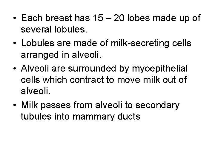  • Each breast has 15 – 20 lobes made up of several lobules.