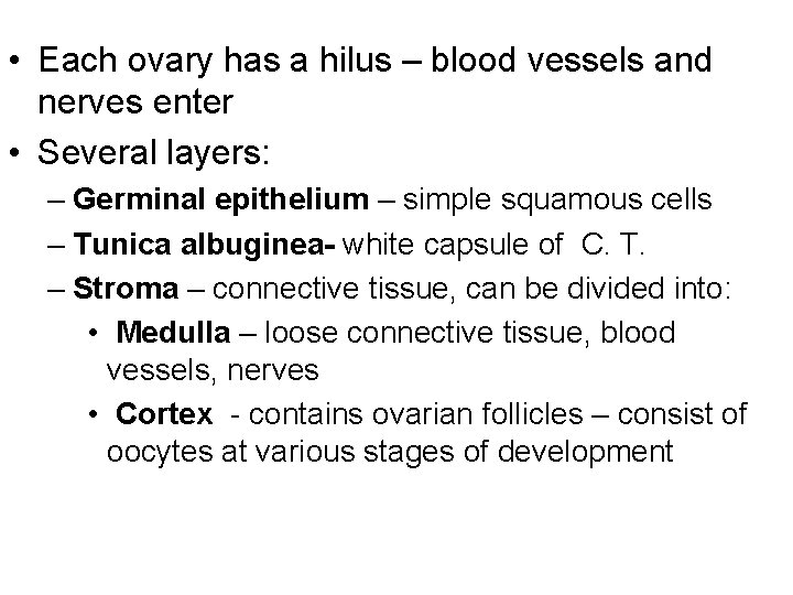  • Each ovary has a hilus – blood vessels and nerves enter •