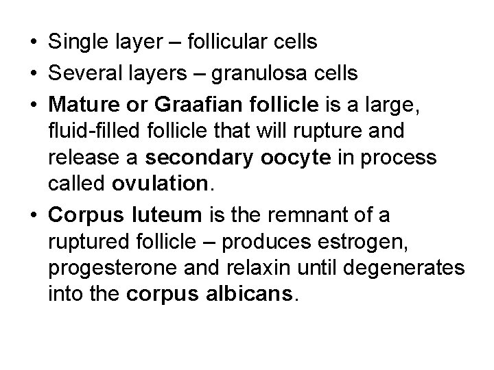  • Single layer – follicular cells • Several layers – granulosa cells •