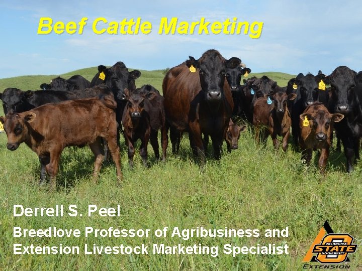 Beef Cattle Marketing Derrell S. Peel Breedlove Professor of Agribusiness and Extension Livestock Marketing