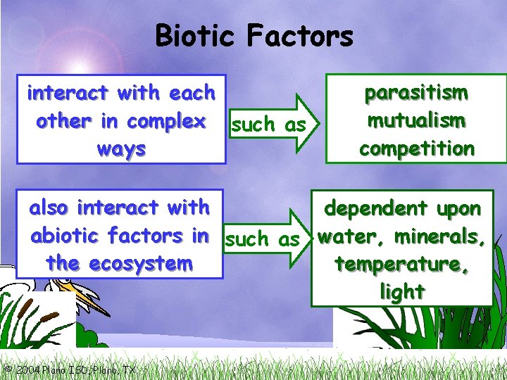 Biotic Factors interact with each other in complex such as ways parasitism mutualism competition