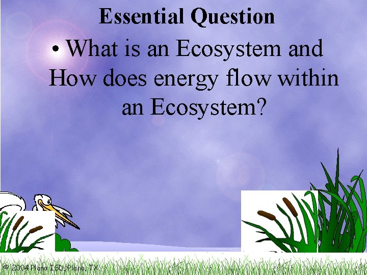 Essential Question • What is an Ecosystem and How does energy flow within an