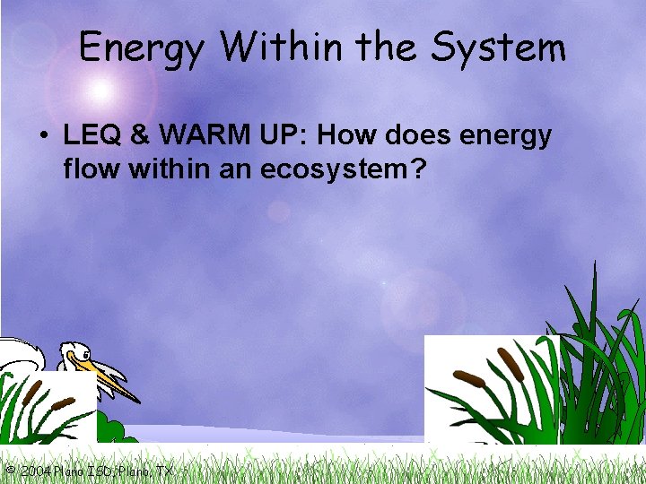 Energy Within the System • LEQ & WARM UP: How does energy flow within