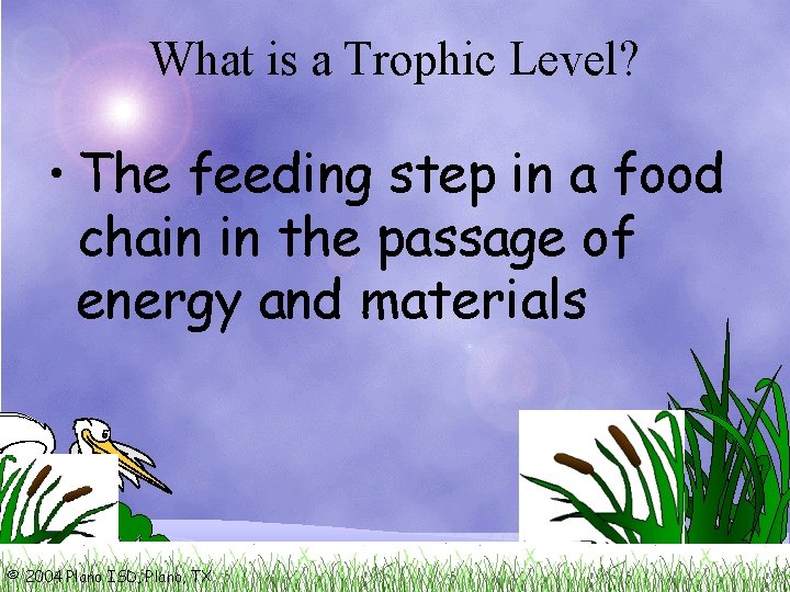 What is a Trophic Level? • The feeding step in a food chain in