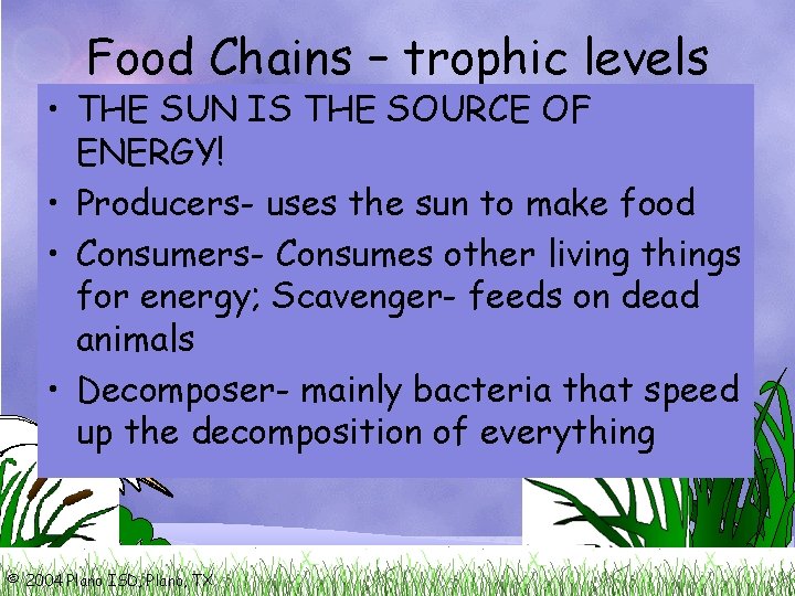 Food Chains – trophic levels • THE SUN IS THE SOURCE OF ENERGY! •