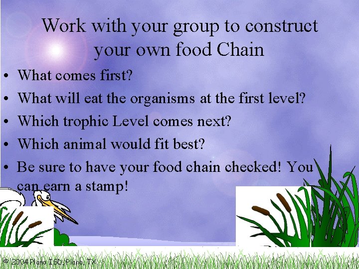 Work with your group to construct your own food Chain • • • What