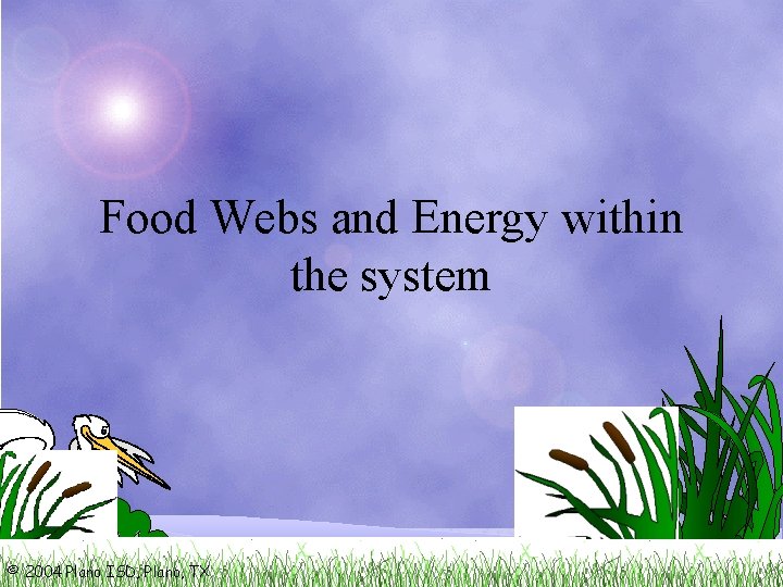Food Webs and Energy within the system © 2004 Plano ISD, Plano, TX 