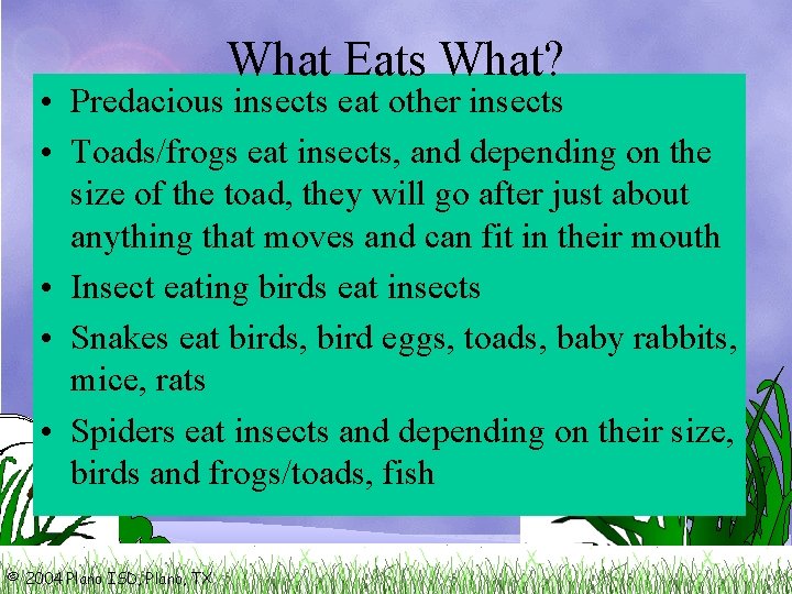 What Eats What? • Predacious insects eat other insects • Toads/frogs eat insects, and