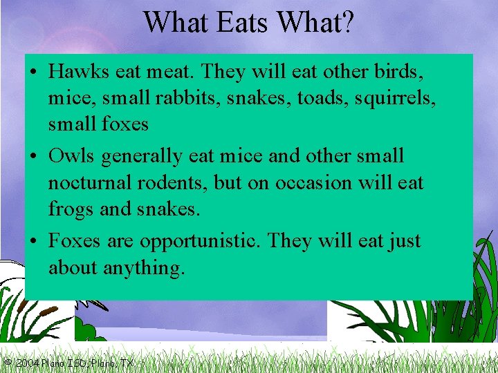 What Eats What? • Hawks eat meat. They will eat other birds, mice, small