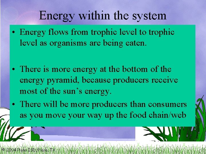 Energy within the system • Energy flows from trophic level to trophic level as