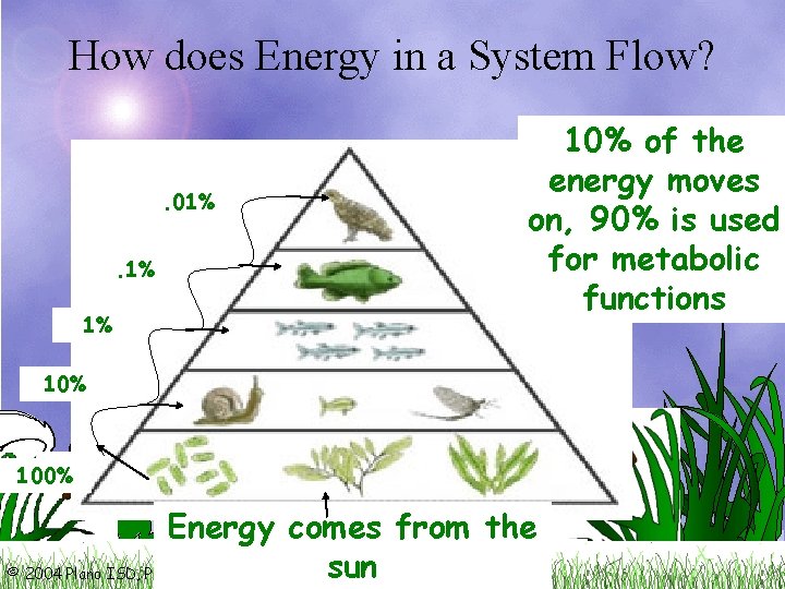 How does Energy in a System Flow? . 01%. 1% 1% 10% of the