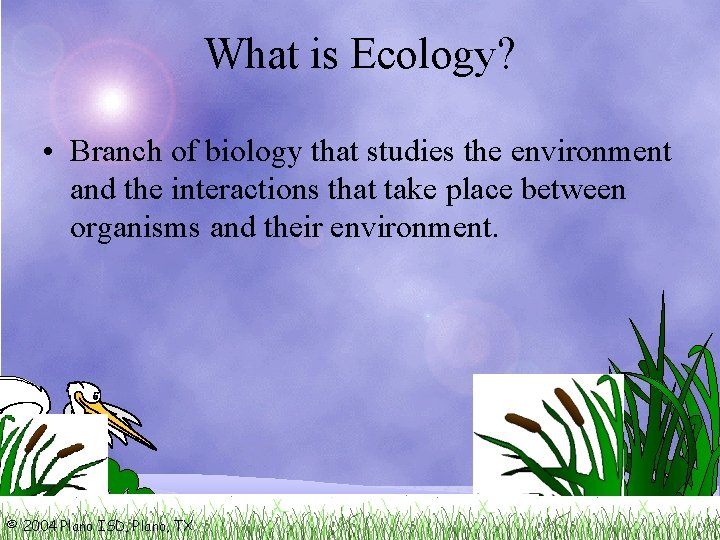 What is Ecology? • Branch of biology that studies the environment and the interactions