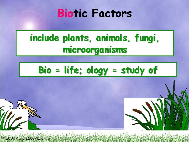 Bio Biotic Factors include plants, animals, fungi, microorganisms Bio = life; ology = study