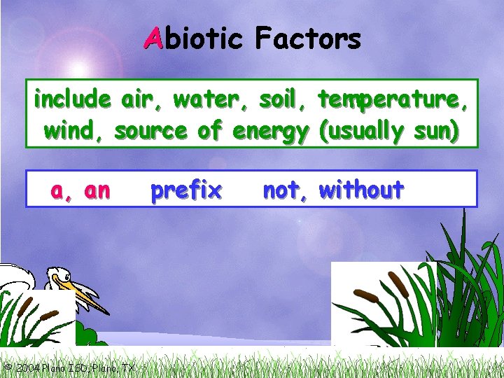 A Abiotic Factors include air, water, soil, temperature, wind, source of energy (usually sun)