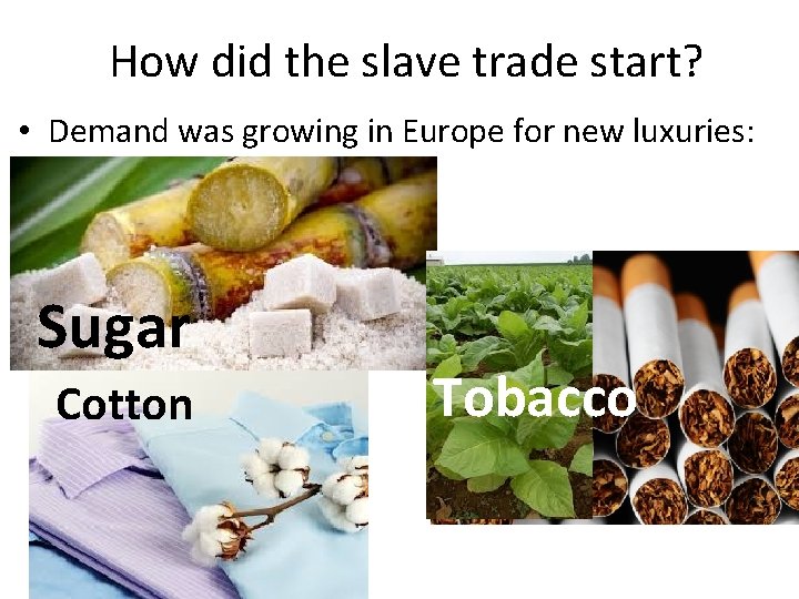How did the slave trade start? • Demand was growing in Europe for new