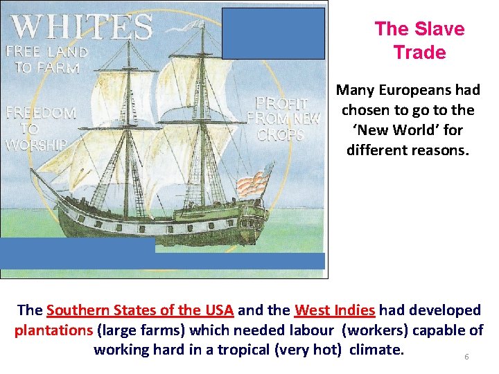 The Slave Trade Many Europeans had chosen to go to the ‘New World’ for