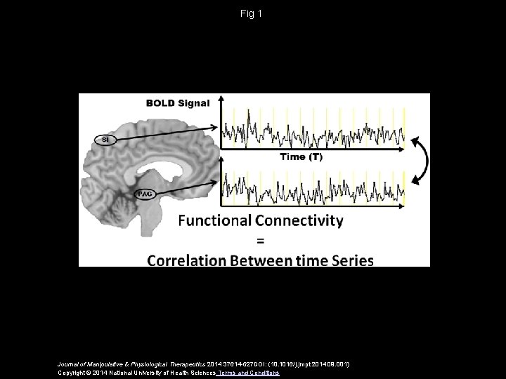 Fig 1 Journal of Manipulative & Physiological Therapeutics 2014 37614 -627 DOI: (10. 1016/j.