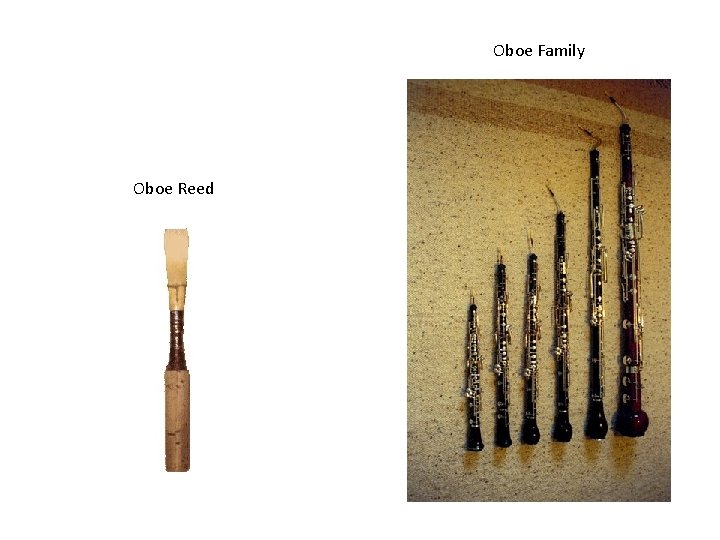 Oboe Family Oboe Reed 