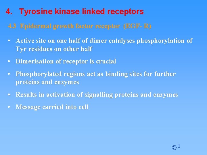 4. Tyrosine kinase linked receptors 4. 3 Epidermal growth factor receptor (EGF- R) •
