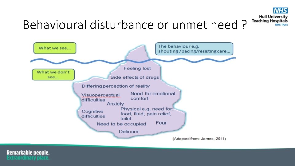 Behavioural disturbance or unmet need ? 