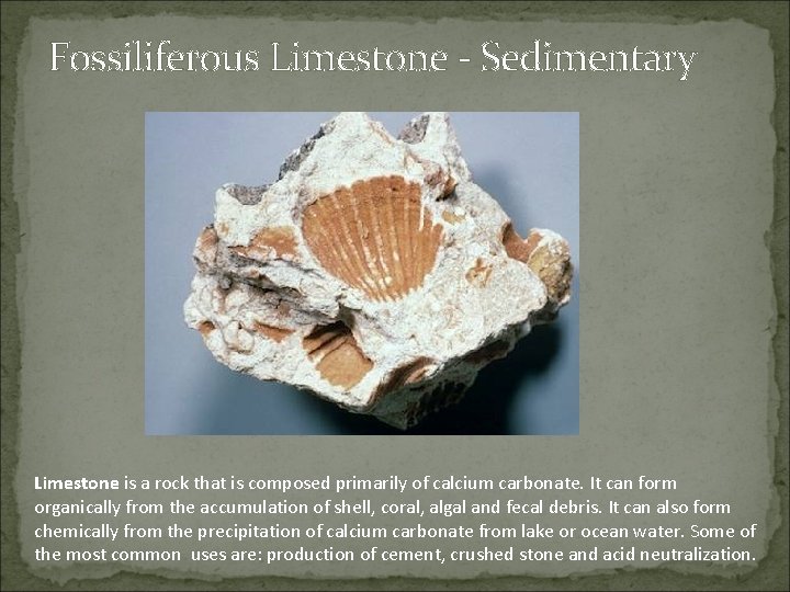 Fossiliferous Limestone - Sedimentary Limestone is a rock that is composed primarily of calcium
