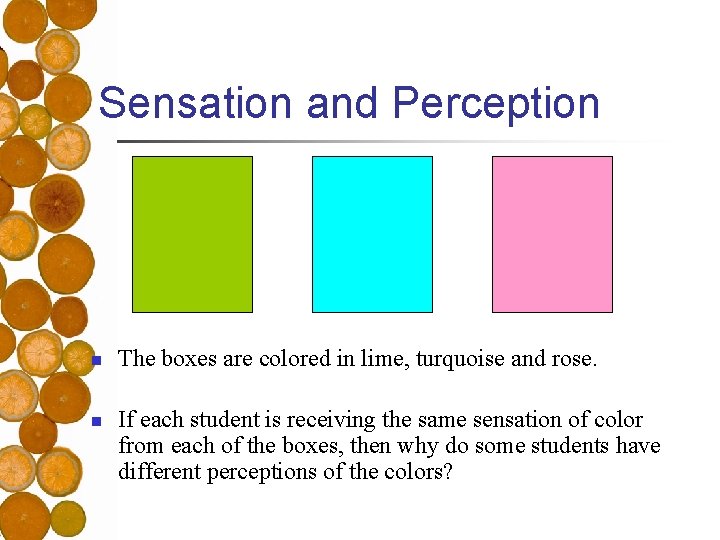 Sensation and Perception n n The boxes are colored in lime, turquoise and rose.