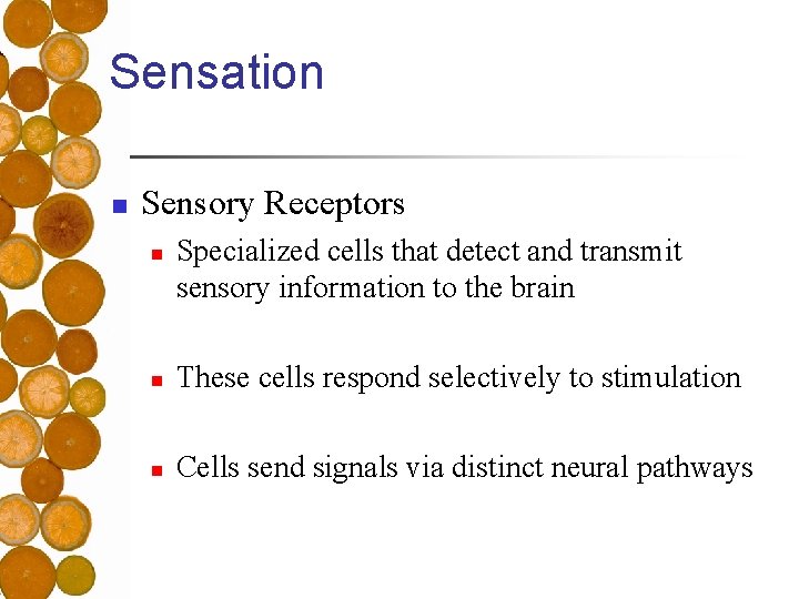 Sensation n Sensory Receptors n Specialized cells that detect and transmit sensory information to