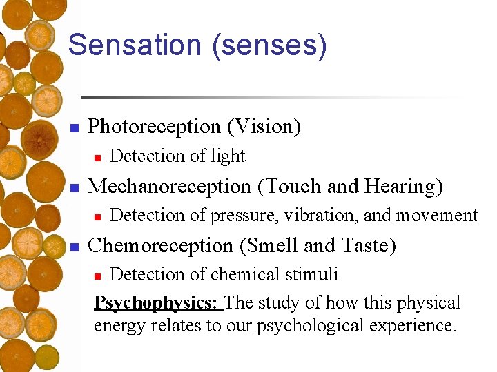 Sensation (senses) n Photoreception (Vision) n n Mechanoreception (Touch and Hearing) n n Detection