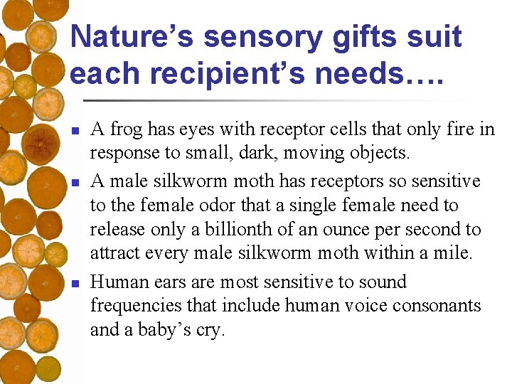 Nature’s sensory gifts suit each recipient’s needs…. n n n A frog has eyes