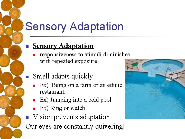 Sensory Adaptation n n responsiveness to stimuli diminishes with repeated exposure Smell adapts quickly