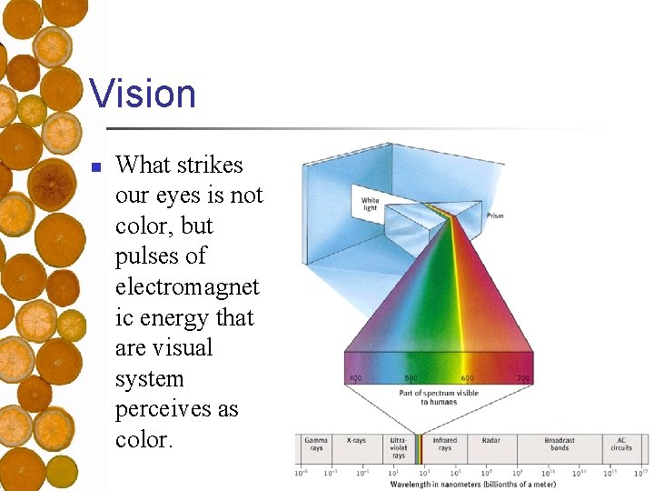 Vision n What strikes our eyes is not color, but pulses of electromagnet ic