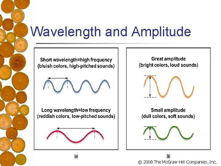 Wavelength and Amplitude © 2008 The Mc. Graw-Hill Companies, Inc. 