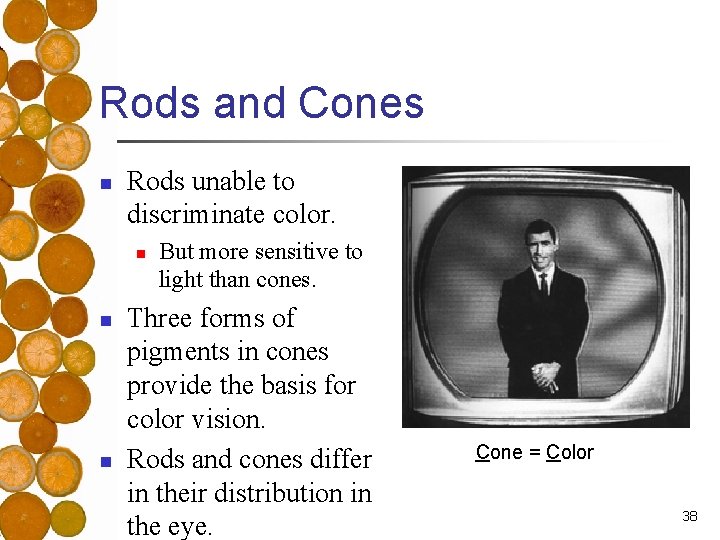 Rods and Cones n Rods unable to discriminate color. n n n But more