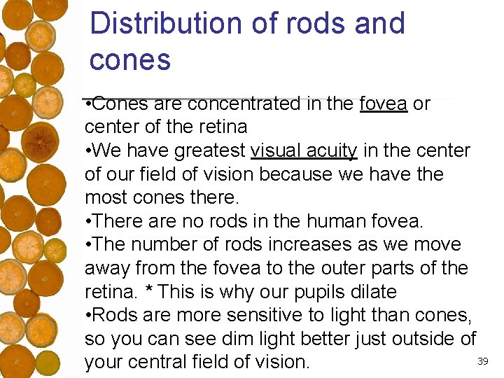 Distribution of rods and cones • Cones are concentrated in the fovea or center