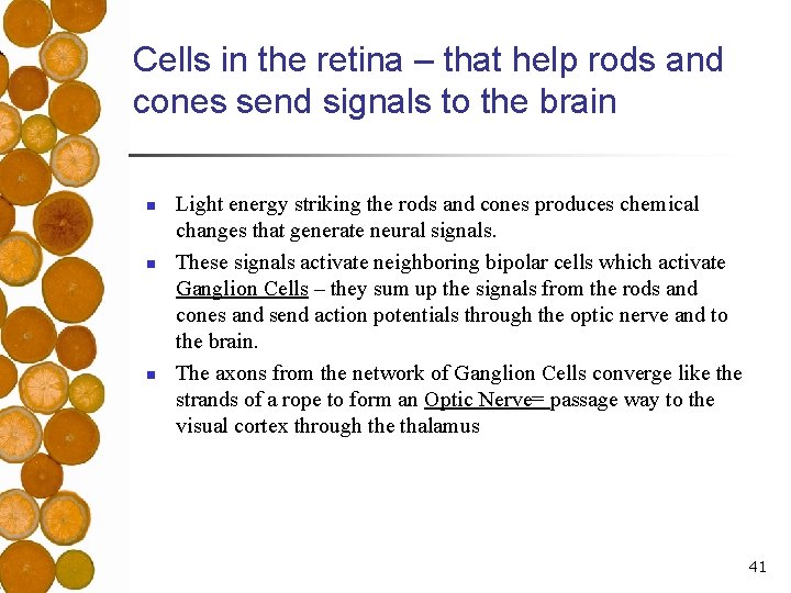 Cells in the retina – that help rods and cones send signals to the