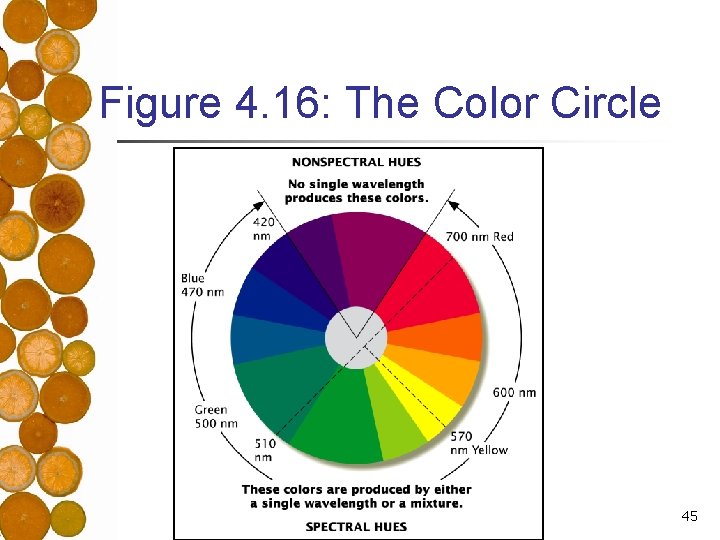 Figure 4. 16: The Color Circle 45 